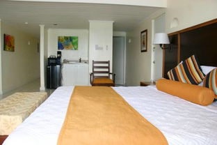 Agoda基督城酒店订房指南 一站式搜寻与最优惠价格住宿服务